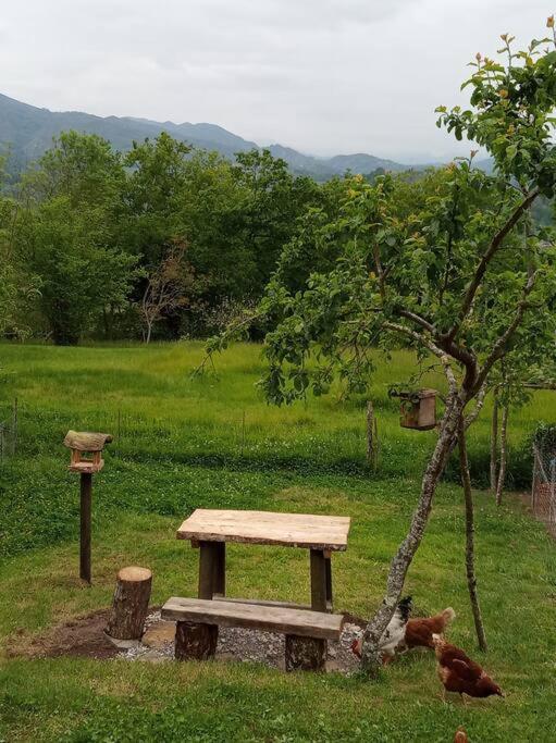 Casa Rural El Cotu En Onís المظهر الخارجي الصورة
