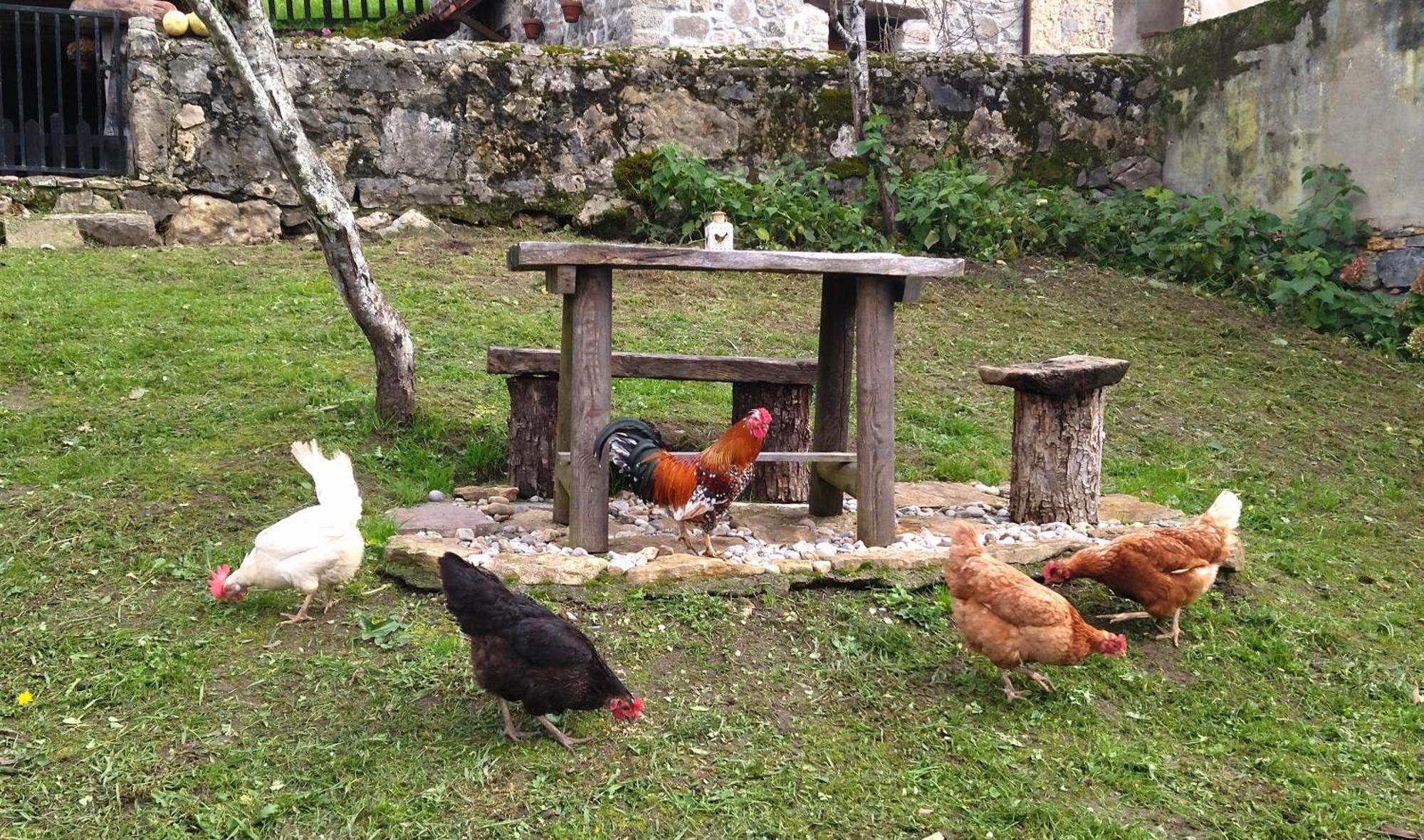 Casa Rural El Cotu En Onís المظهر الخارجي الصورة